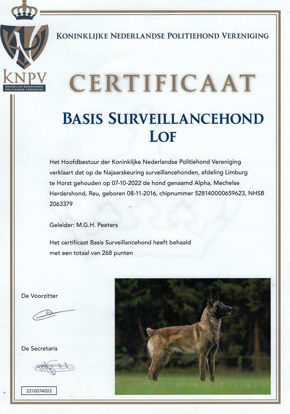 alpha certificaat knpv bsh